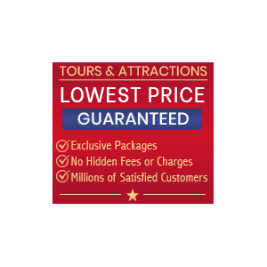 Trusted Tours And Attractions Official Photo