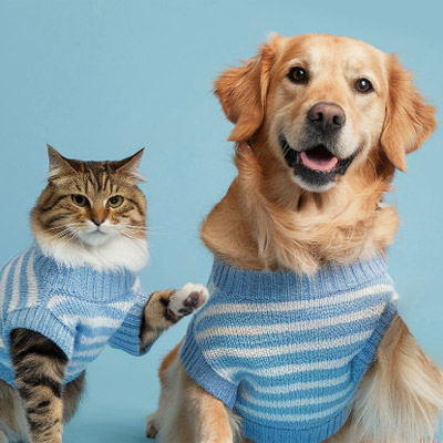 Extra 10% Off Site Wide Plus 100% Flea Protection for 30 Days Starting at $17.09 at BudgetPetCare - Budgetpetcare.Com Discounts & Coupon Codes Image